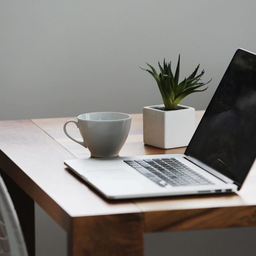 Laptop, coffee cup, and plant on table.